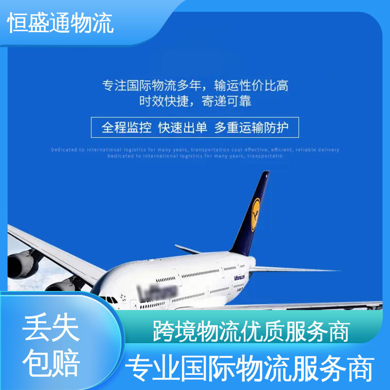 恒盛通物流 14年专业空运到操作经验 门对门服务 SGN越南胡志明