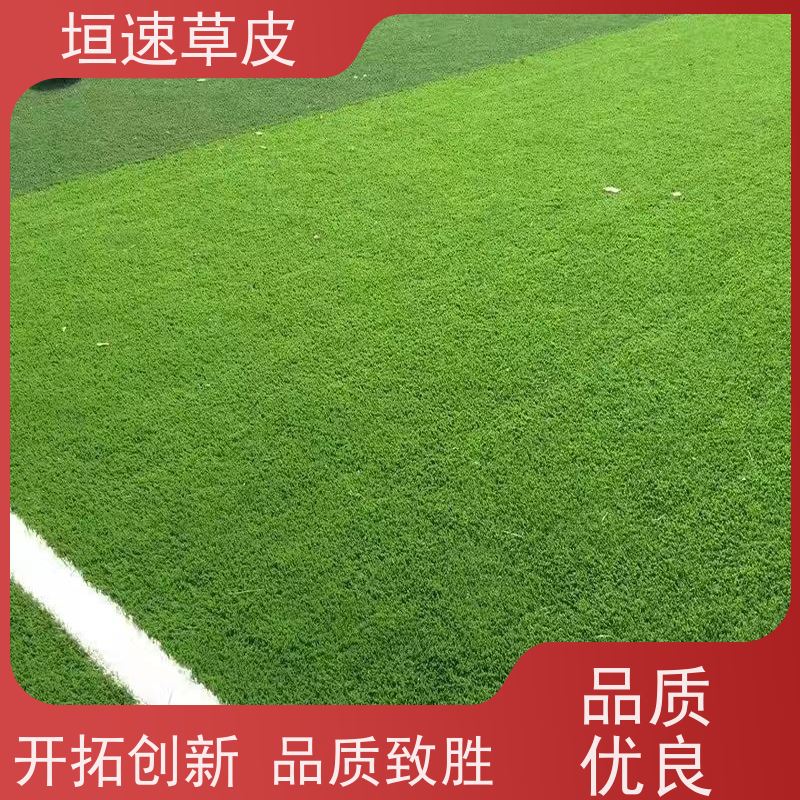 垣速 建设足球场草坪环保认证 屋面绿化草坪基础施工 嘉兴门球场建造