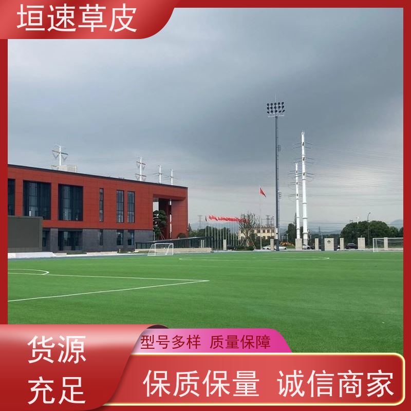 垣速 嘉兴足球场修建 修建5人制足球场规格种类 人造草网球场单价