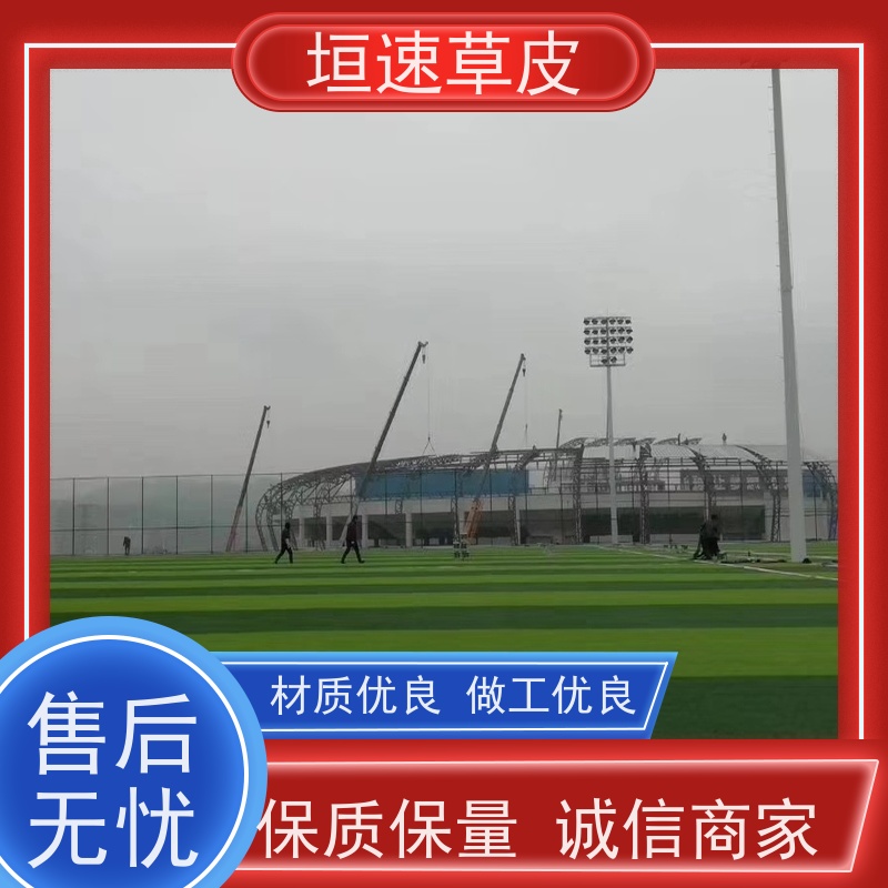 垣速 笼式足球场建造弹性防滑 室外塑料草坪翻修工艺 苏州足球场搭建