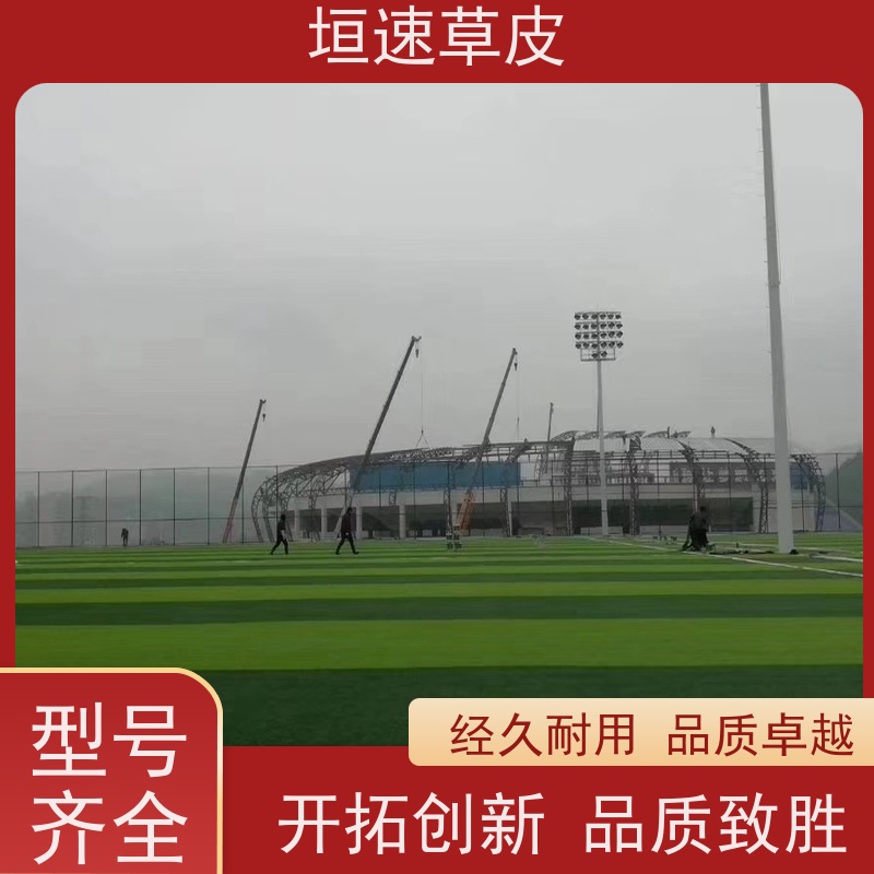 垣速 校园足球场建设环保耐磨 人造草网球场单价 苏州门球场修建