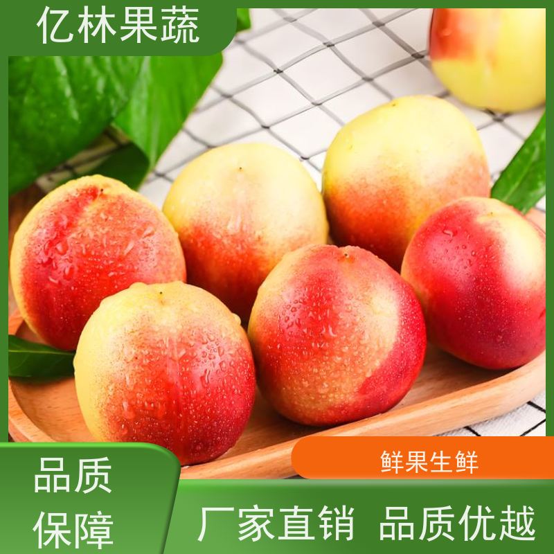 油蟠桃 中油4号油桃 新鲜水果桃子批发 口感甜脆 清香可口