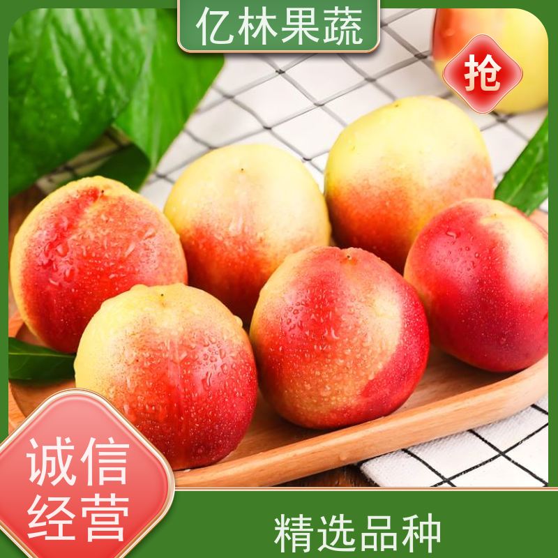 中油桃8号 中油19 新鲜水果桃子批发 口感甜脆 清香可口 全国产地代办
