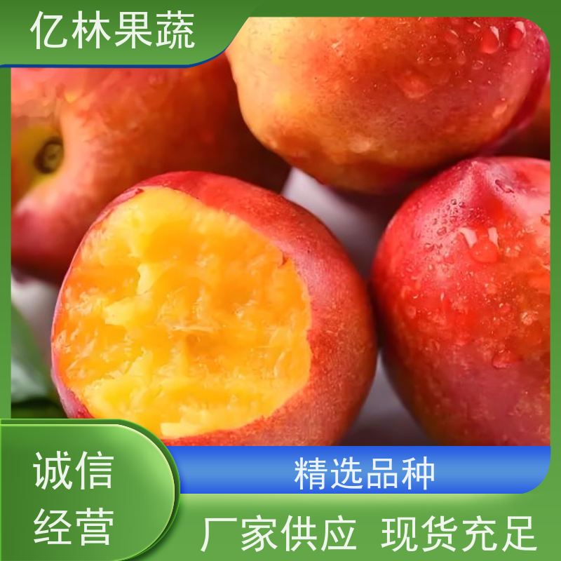 现摘蒙阴黄金油桃黄心大桃子新鲜脆甜桃黄桃应季水果批发 