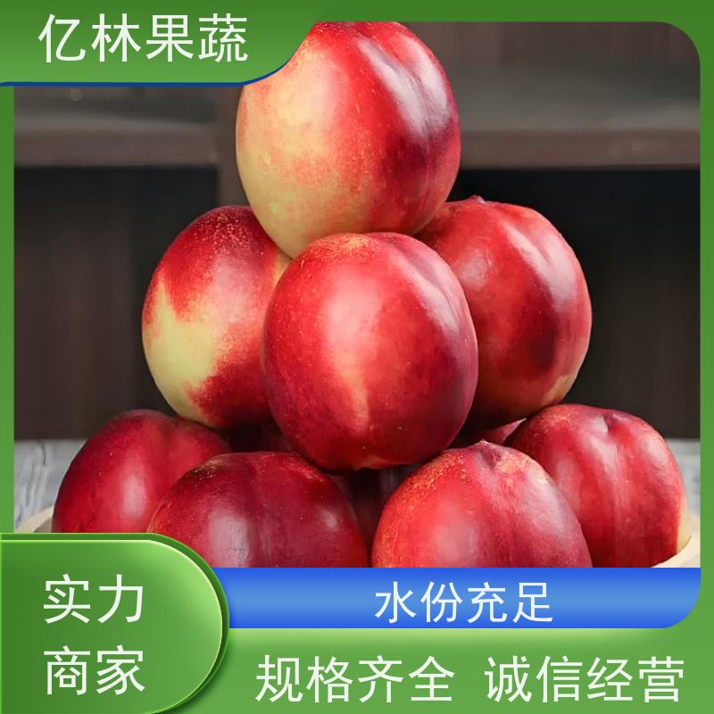亿林苗木 易栽培梨树苗 晚熟品种梨 口感脆甜 早酥红梨苗