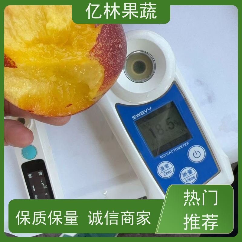 亿林果蔬 桃子批发 订购 新品种中油油桃子618中油油桃 全新供应