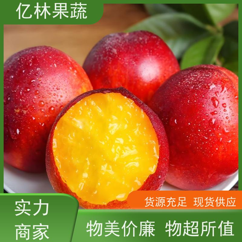 黄金油桃 黄肉黄皮脆桃子 口感甜脆 清香可口 园林直发 中油油桃