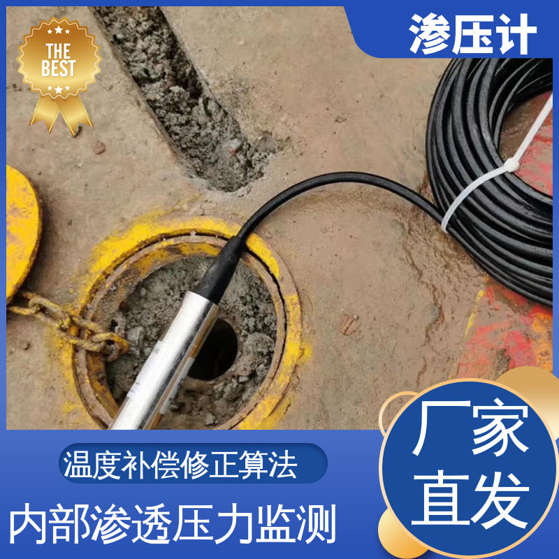 地基基础 岩体内部渗透水压 硅压式渗压计 长期在线监测