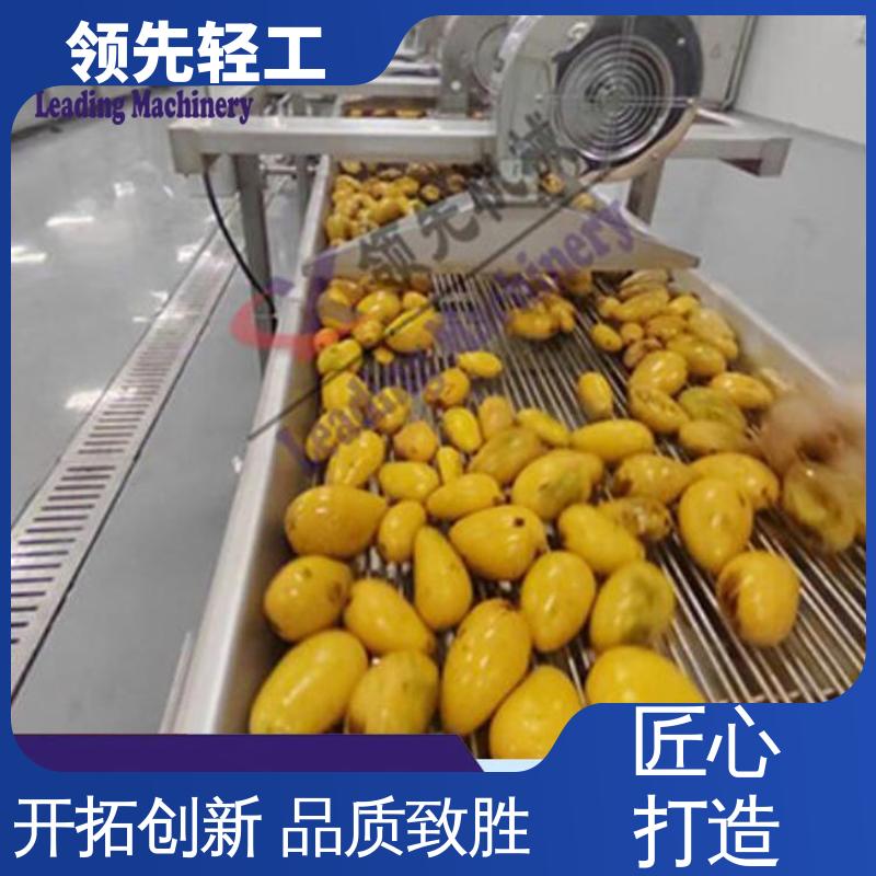 工业化 脱核干净的大型果汁加工设备 全自动 效率高 芒果去核打浆机