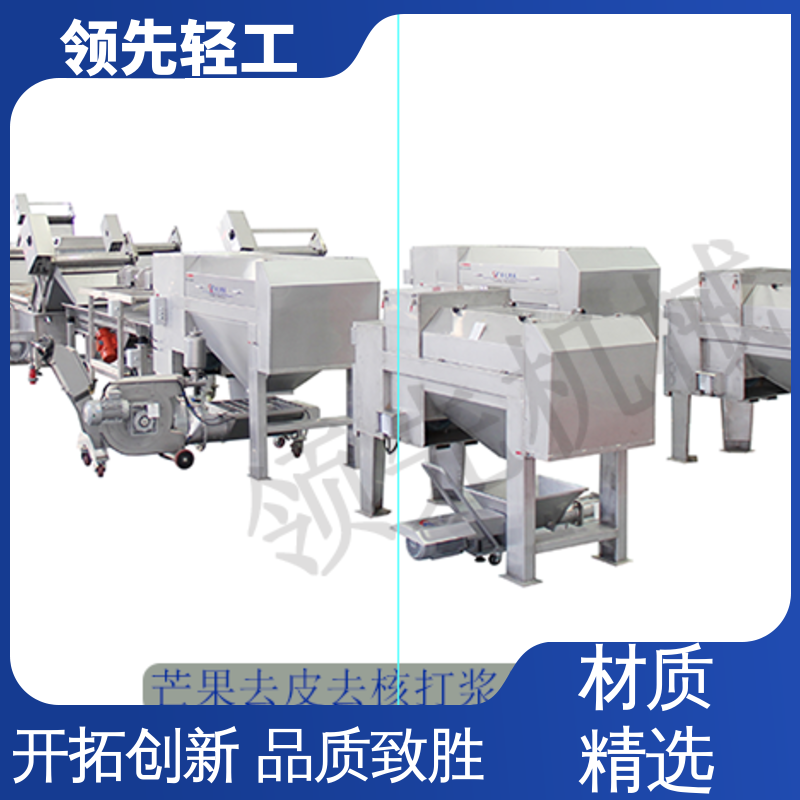 全自动 效率高 芒果渣浆分离机 脱核干净的大型果汁加工设备 工业化