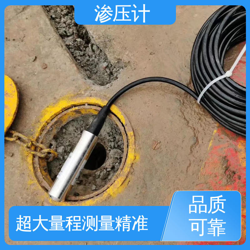 全天候观测 硅压阻式渗压计 基岩渗漏及稳定性 山体滑坡泥石流