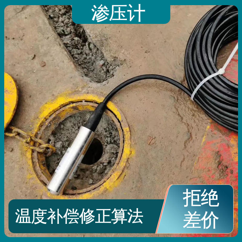 堤防水工建筑物 硅压阻式渗压计 土壤土体水压力 长期在线监测