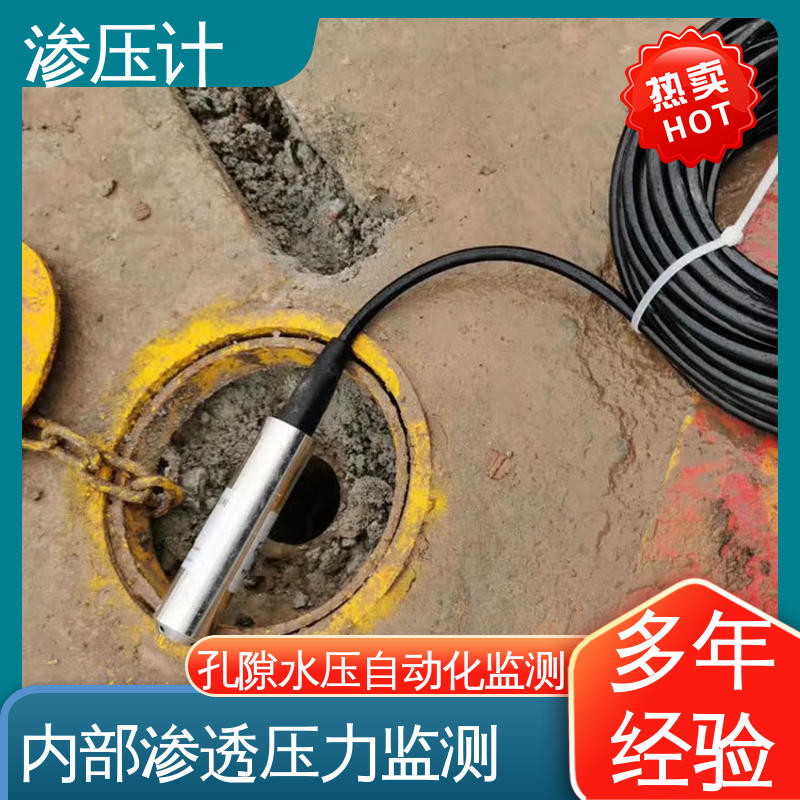 全天候观测 硅压阻式渗压计 土壤土体水压力 水库水利大坝