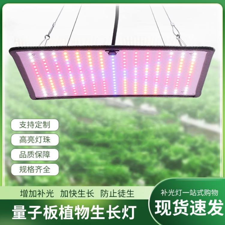 全光谱吊挂式植物补光灯量子板1000W生长灯大鹏种植增产种菜