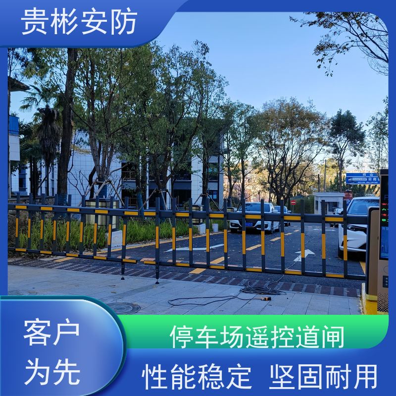 贵彬安防 小区大门升降抬杆 停车场遥控道闸 坚固耐用 支持定制
