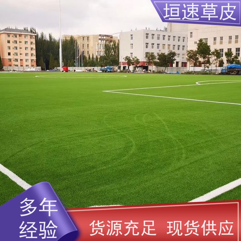 垣速 建设足球场草坪环保认证 仿真地毯草坪品牌排行 宁波门球场建设
