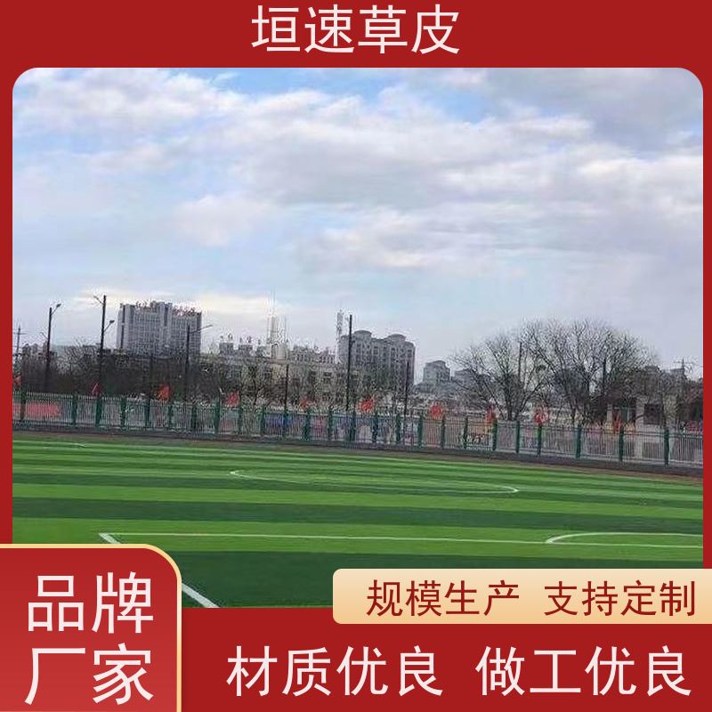 垣速 上海足球场翻建 标准门球场建设回弹率好 篮球场草坪施工队
