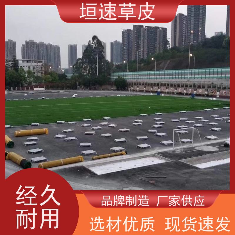 垣速 足球场地建设舒适度好 加密人造草坪造价 南通塑胶足球场修建