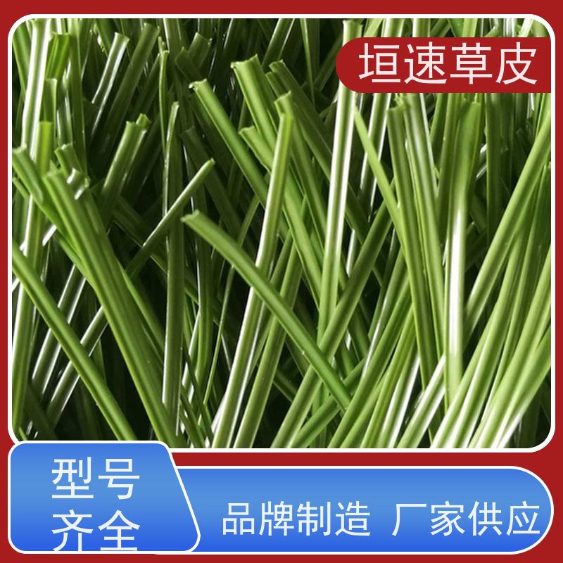 垣速 人工门球场重建环保耐磨 篮球场草坪施工队 上海足球场翻建