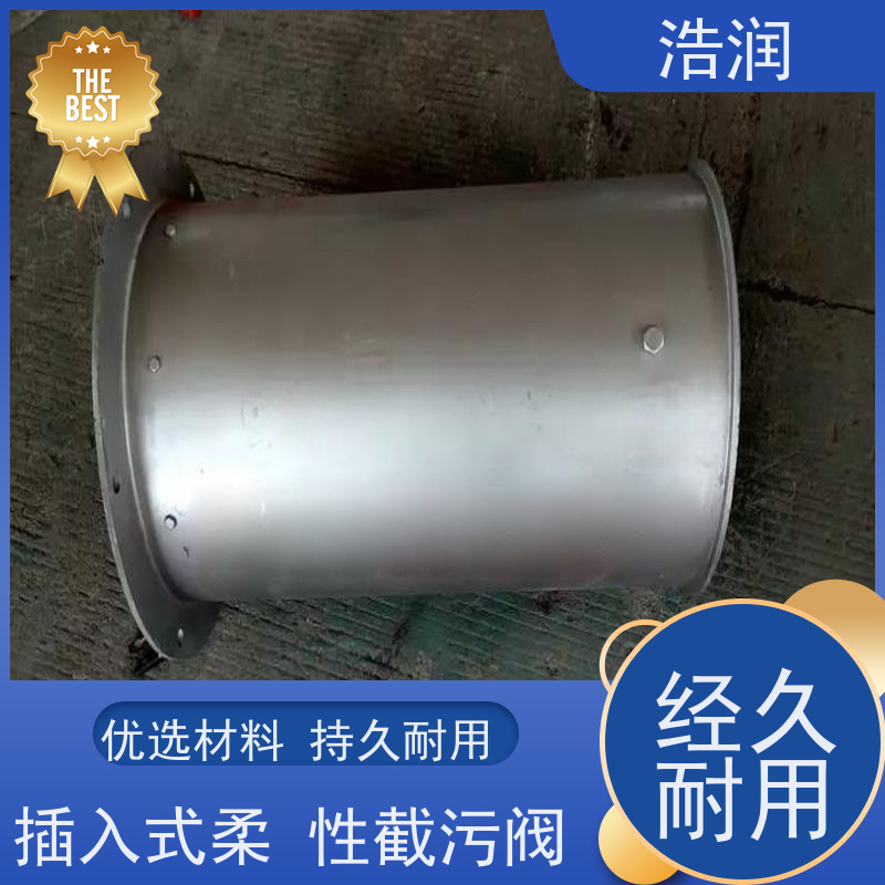 浩润 不锈钢管中型内置防倒灌器 优选材料 持久耐用 诚信经营