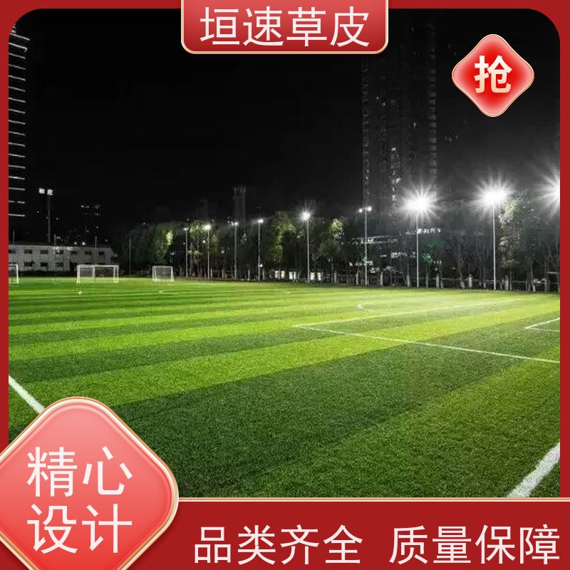 垣速 杭州门球场新建 7人制足球场建造防腐耐磨 塑胶足球场基地直供