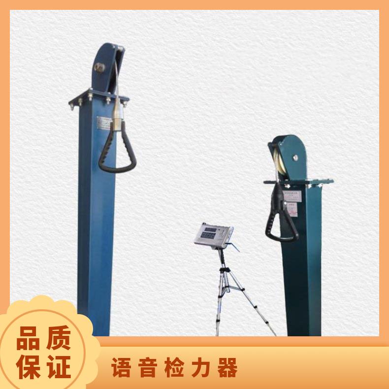 语音检力器型号YSJ-20 重量30KG材质不锈钢或碳钢