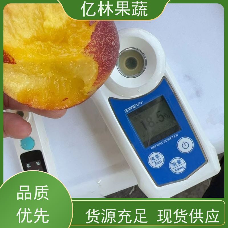 砀山油桃 中油5号 新鲜水果桃子批发 口感甜脆 清香可口 果园直发