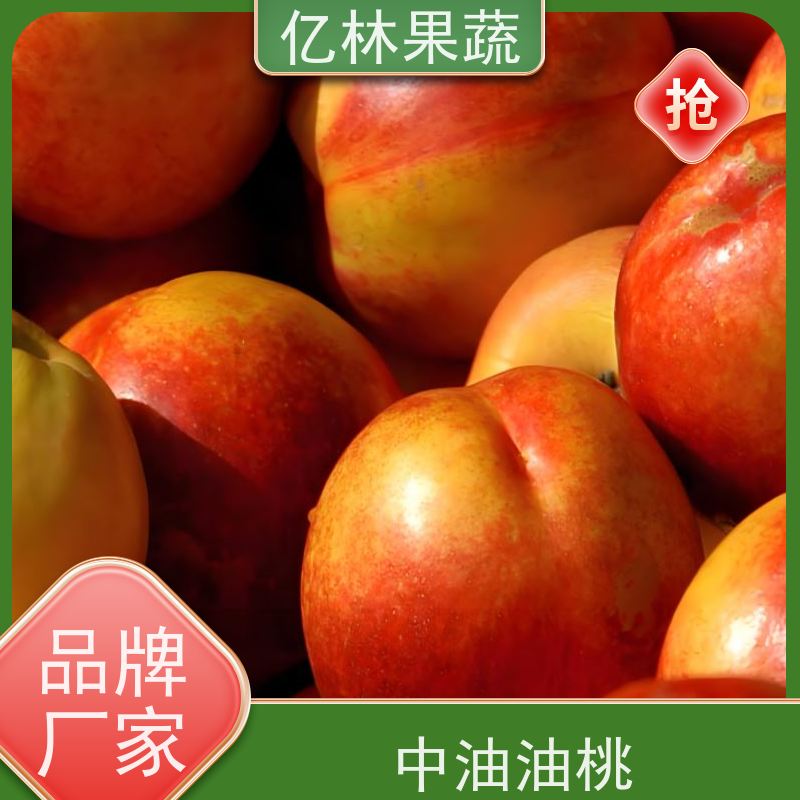 亿林果蔬培育基地 油桃白肉黄肉批发 品种纯正规格齐全欢迎选购