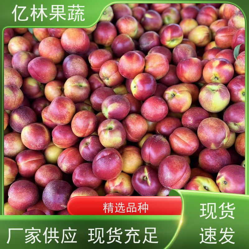 甜油桃 中油29 新鲜水果桃子批发 口感甜脆 清香可口 全国产地代办