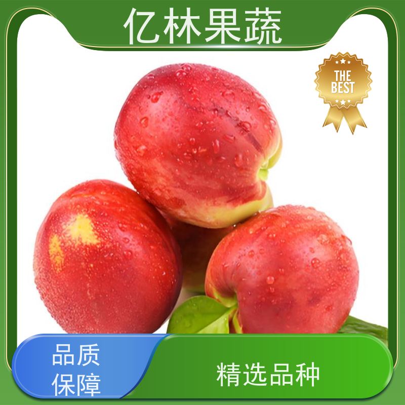 油48油桃 露天油桃 新鲜水果 当季脆甜农产品 现摘