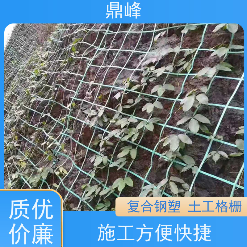 鼎峰 焊接纤塑土工格栅 抗腐蚀 具有环保可持续性