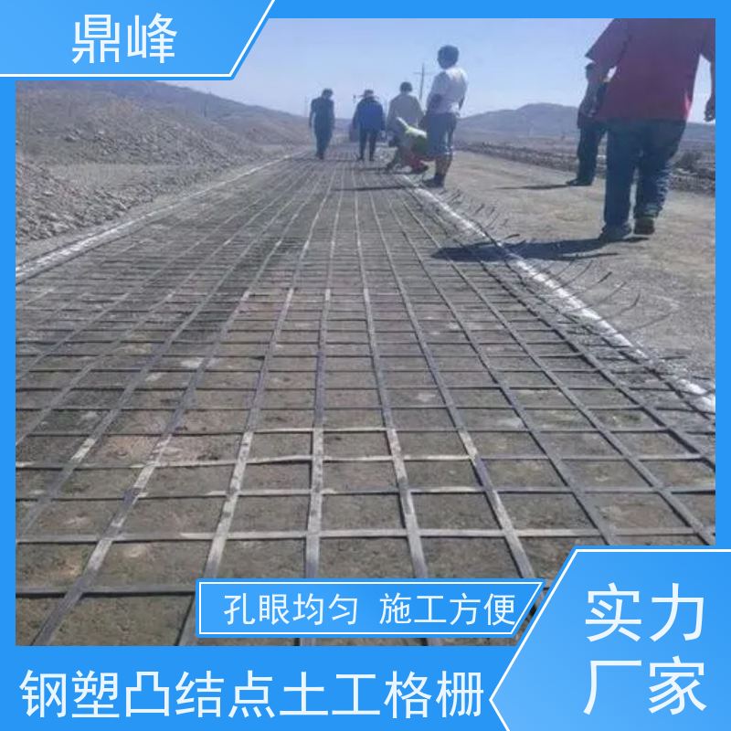 鼎峰 复合钢塑土工格栅 抗腐蚀 延长工程的使用寿命