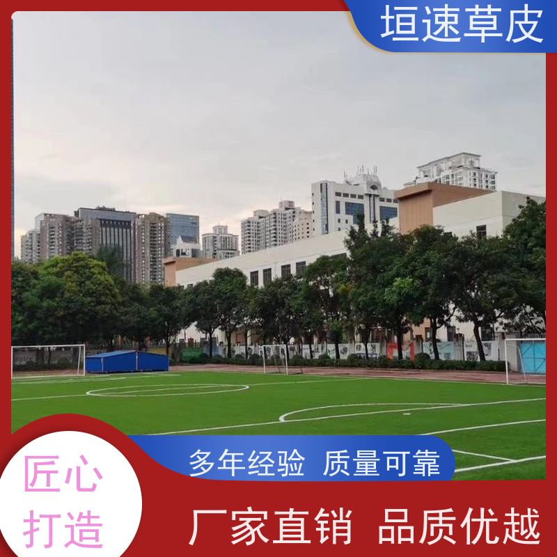 垣速 7人制足球场建造防腐耐磨 网球场草皮材料成本 江苏修建门球场
