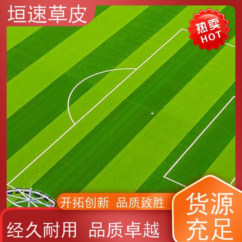 垣速 学校足球场改造防腐耐磨 篮球场草坪施工队 上海打造门球场草皮
