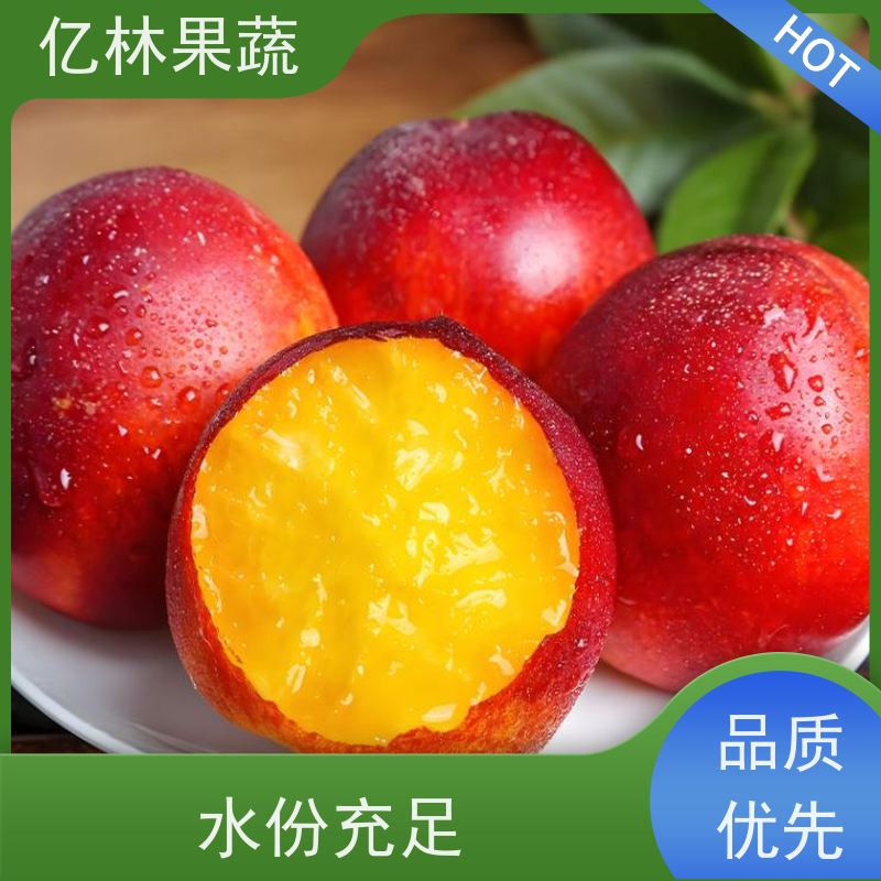 亿林果蔬果苗基地直销 桃树嫁接种苗 水蜜桃苗 油桃 成活高结果快