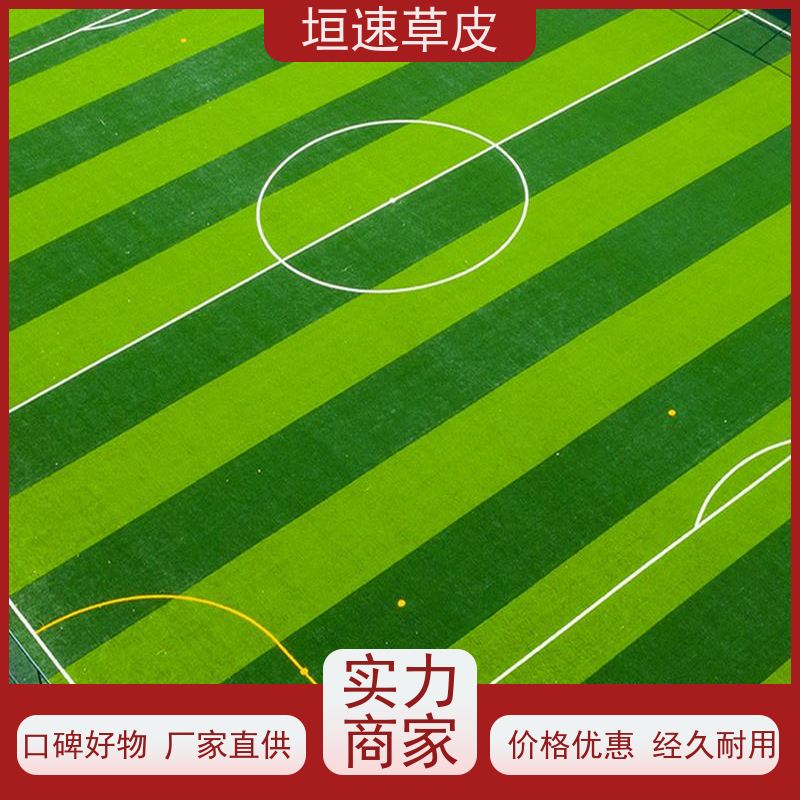 垣速 5人制足球场建造尺寸规格 塑胶足球场基地直供 上海足球场翻建