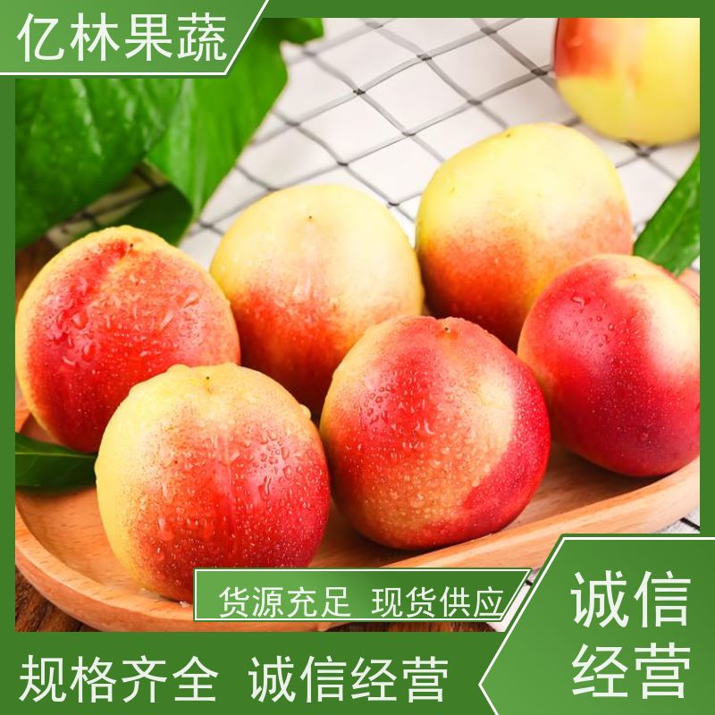 黄肉油桃 黄油桃 露天油桃 大棚油桃 水蜜桃 大量上市 好吃不贵