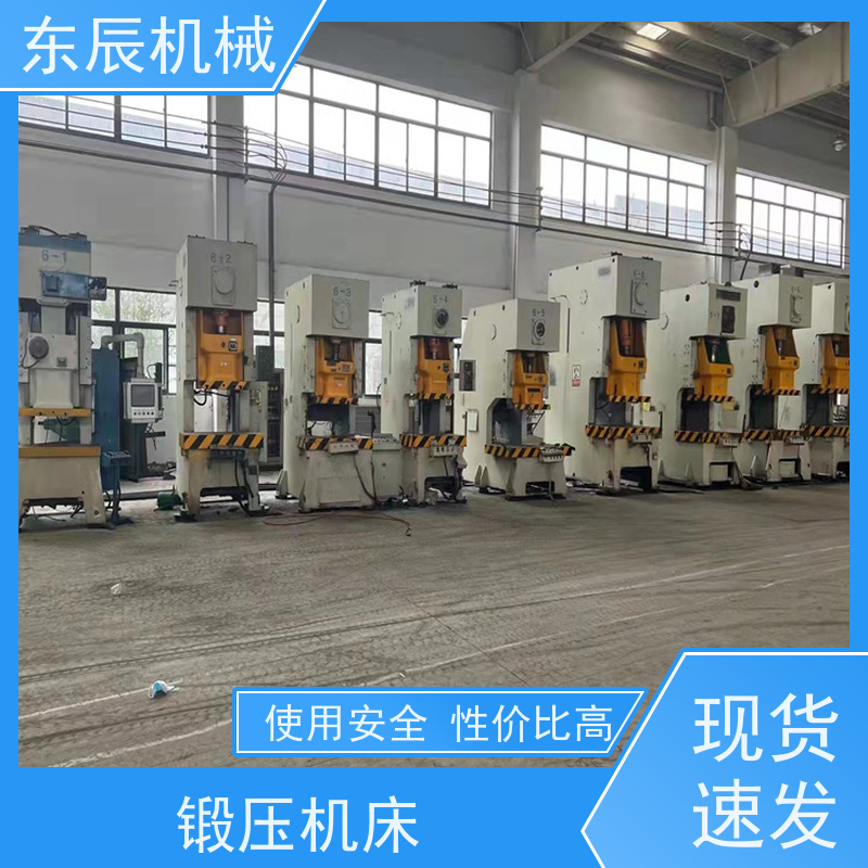 东辰 高密锻压 63吨艾叶成型压力机 操作控制方便 占地面积小 
