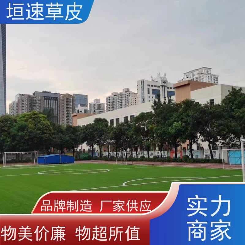 垣速 浙江网球场草坪安装 足球场场地改造舒适度好 人造草网球场单价