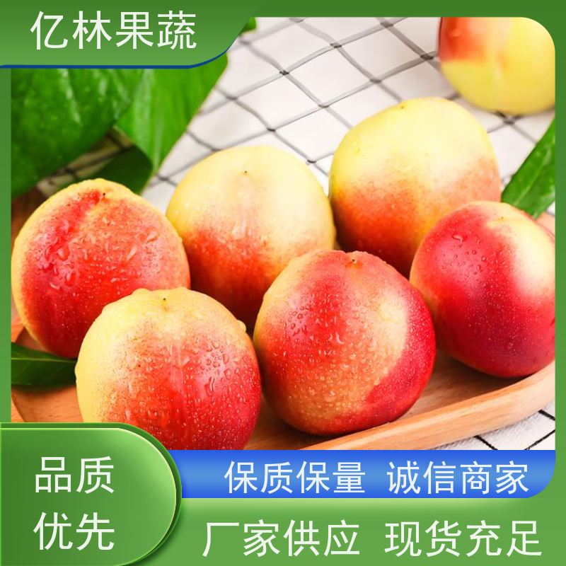根系发达 嫁接苗 二级苗 8公分 9公分 10公分 亿林果蔬 黄金油桃苗