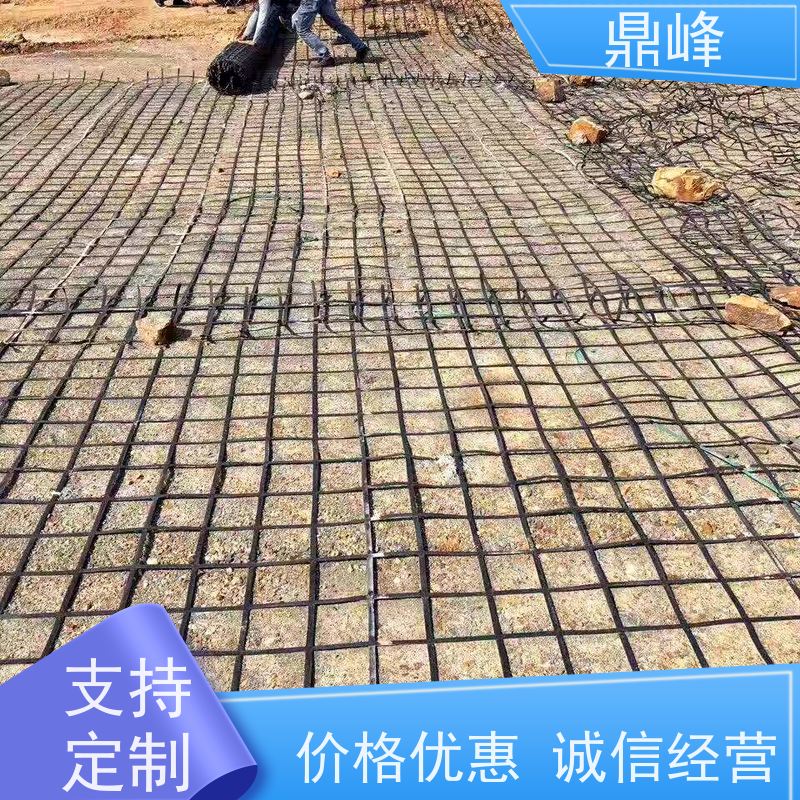 鼎峰 双向钢塑土工格栅 抗氧化 延长工程的使用寿命