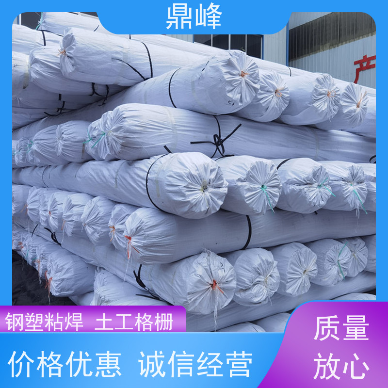 鼎峰 钢塑凸结点土工格栅 承载力强 能够适应各种不规则的表面