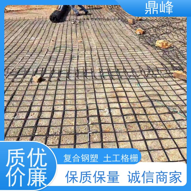 鼎峰 钢塑塑料土工格栅 强度大 在承受较大应力的同时保持其完整性