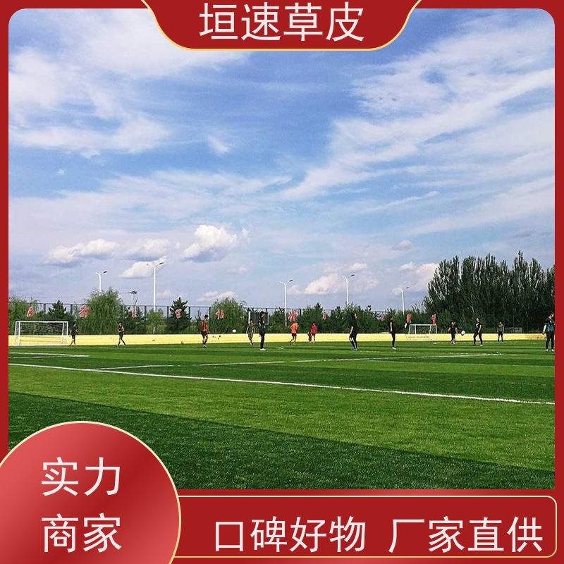 垣速 足球场草坪重建色彩丰富 人工假草皮价钱 南通塑胶足球场修建
