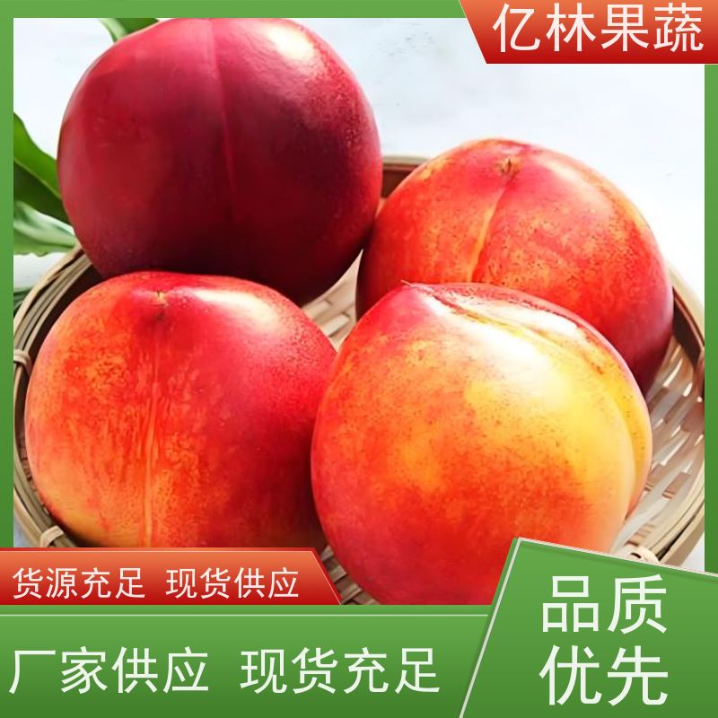 安徽油桃 中油18 新鲜水果桃子批发 口感甜脆 清香可口 现摘现发