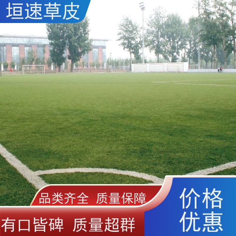 垣速 足球场场地翻新承载力强 网球场草皮材料成本 宁波门球场建设