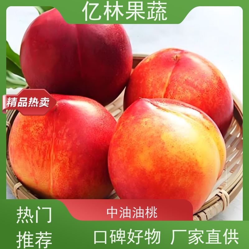 新鲜突围毛桃现摘当季水果应季脆甜桃子时令非油桃批发
