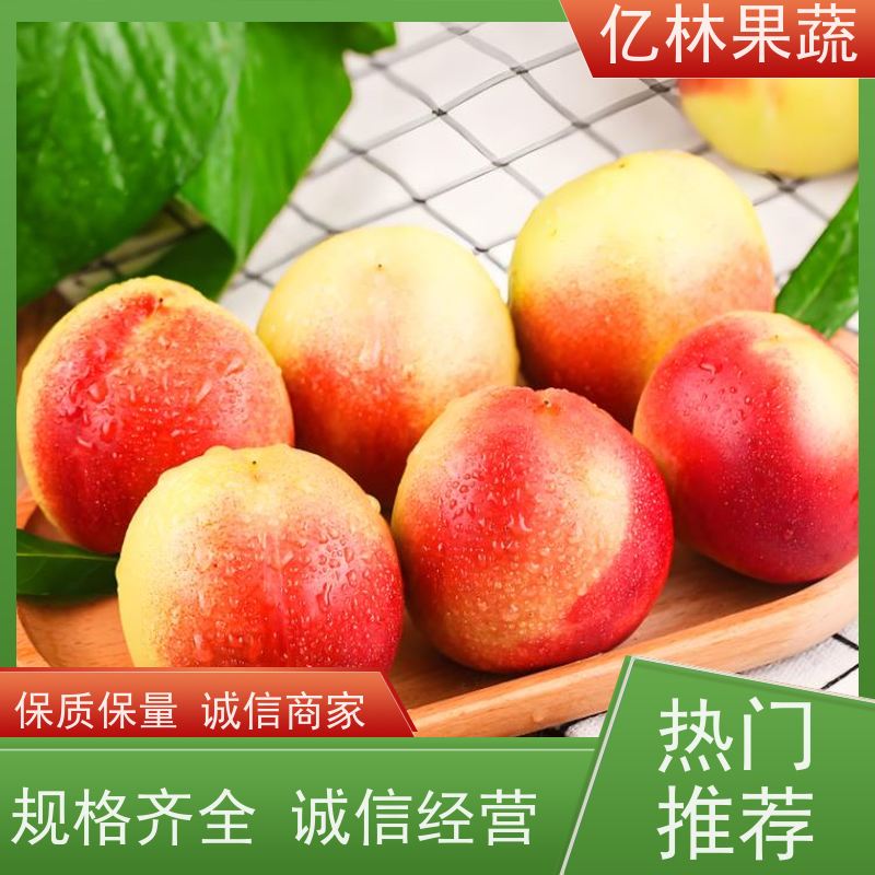 六安油桃 中油四号 新鲜水果桃子批发 口感甜脆 清香可口 现摘现发