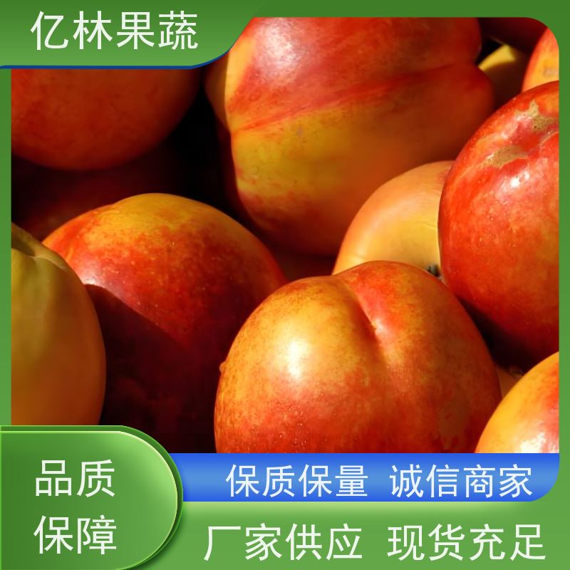 果实横径80cm~120cm 一级 七到九成熟 黄色 亿林果蔬油桃
