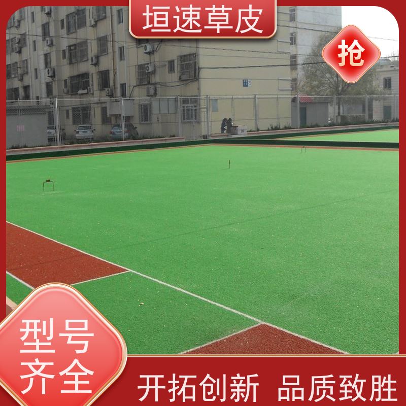 垣速 上海门球场制作 学校建设足球场舒适度高 仿真地毯草坪品牌排行
